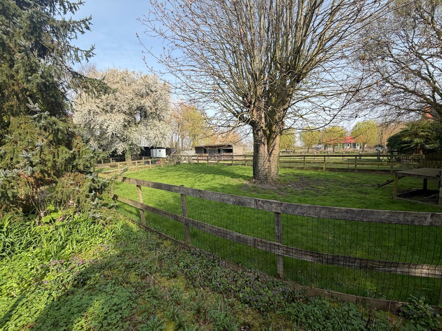 Foto 74 van Welleweg 7