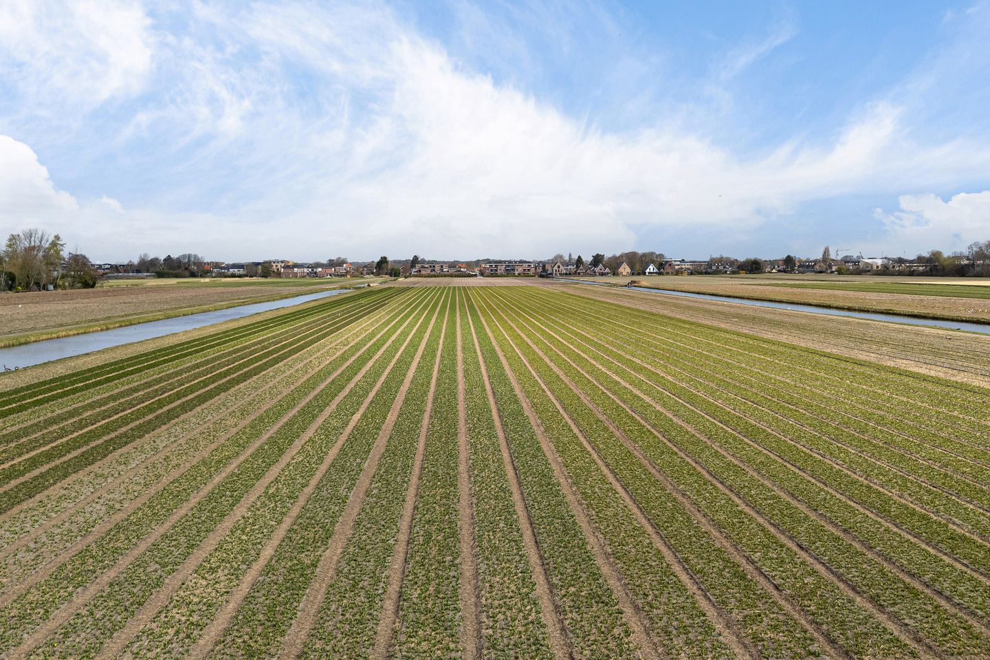 Foto 34 van Wilhelminalaan 109