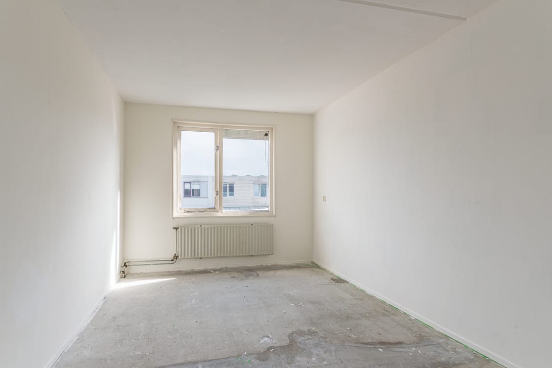 Photo 16 of Schoener 12 10