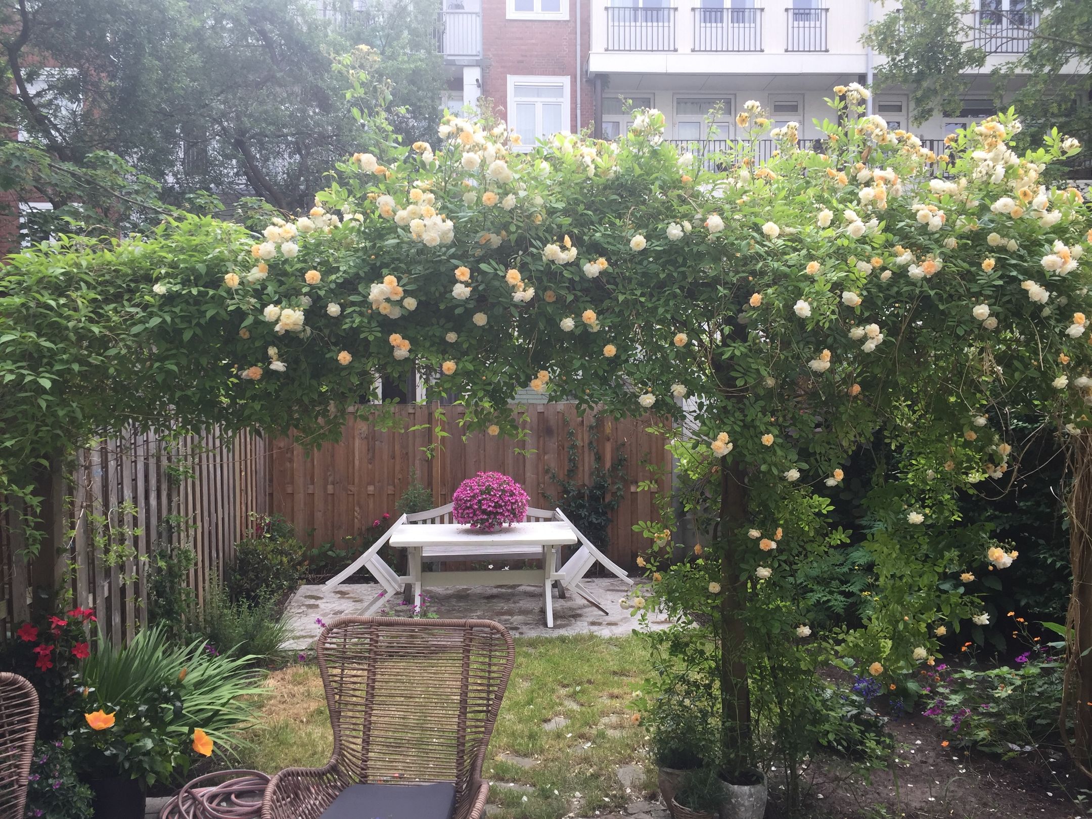 Photo 21 of John Franklinstraat 34-H