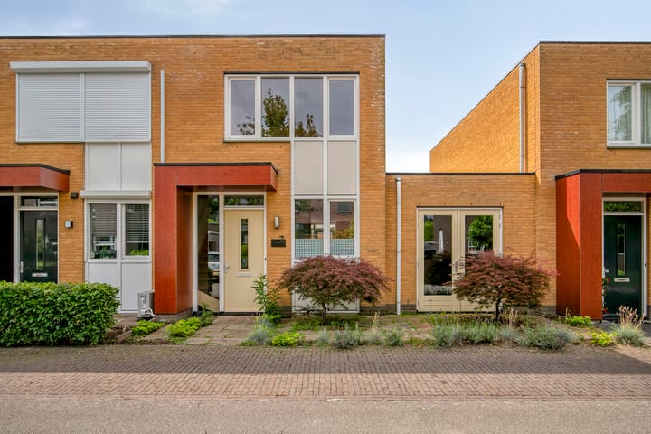 Photo 3 of Grasfonteinkruid 7