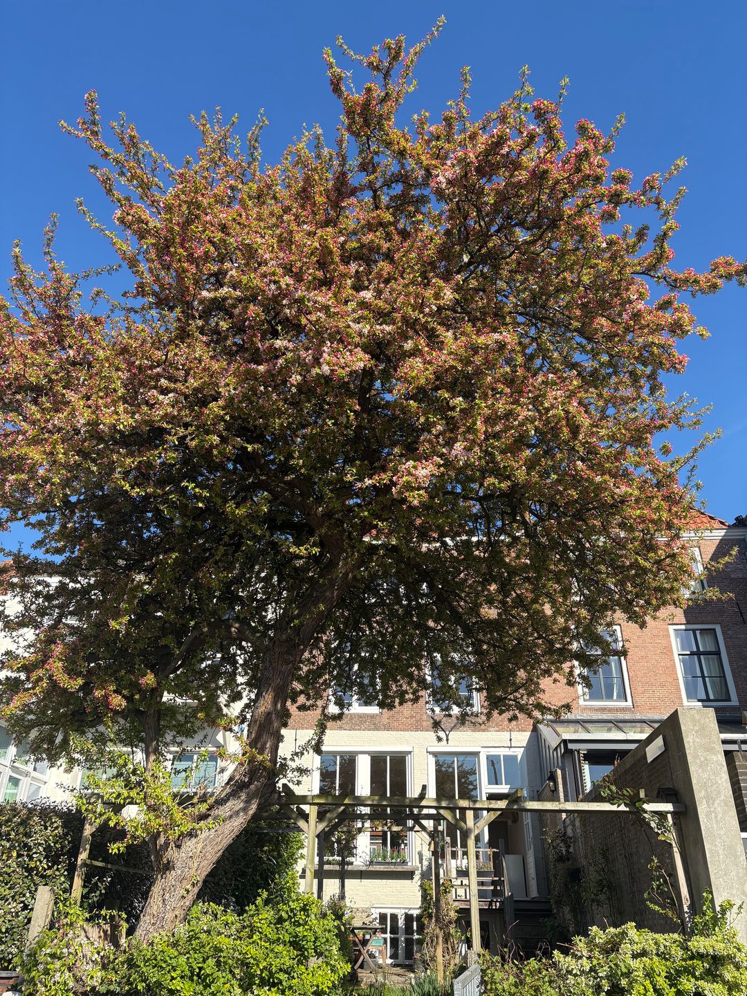 Foto 37 van Kinderdijk 78