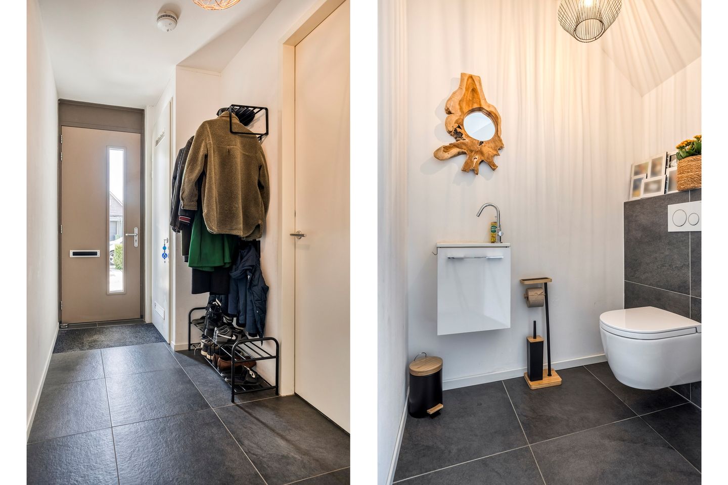 Foto 5 van Pinksterbloem 26