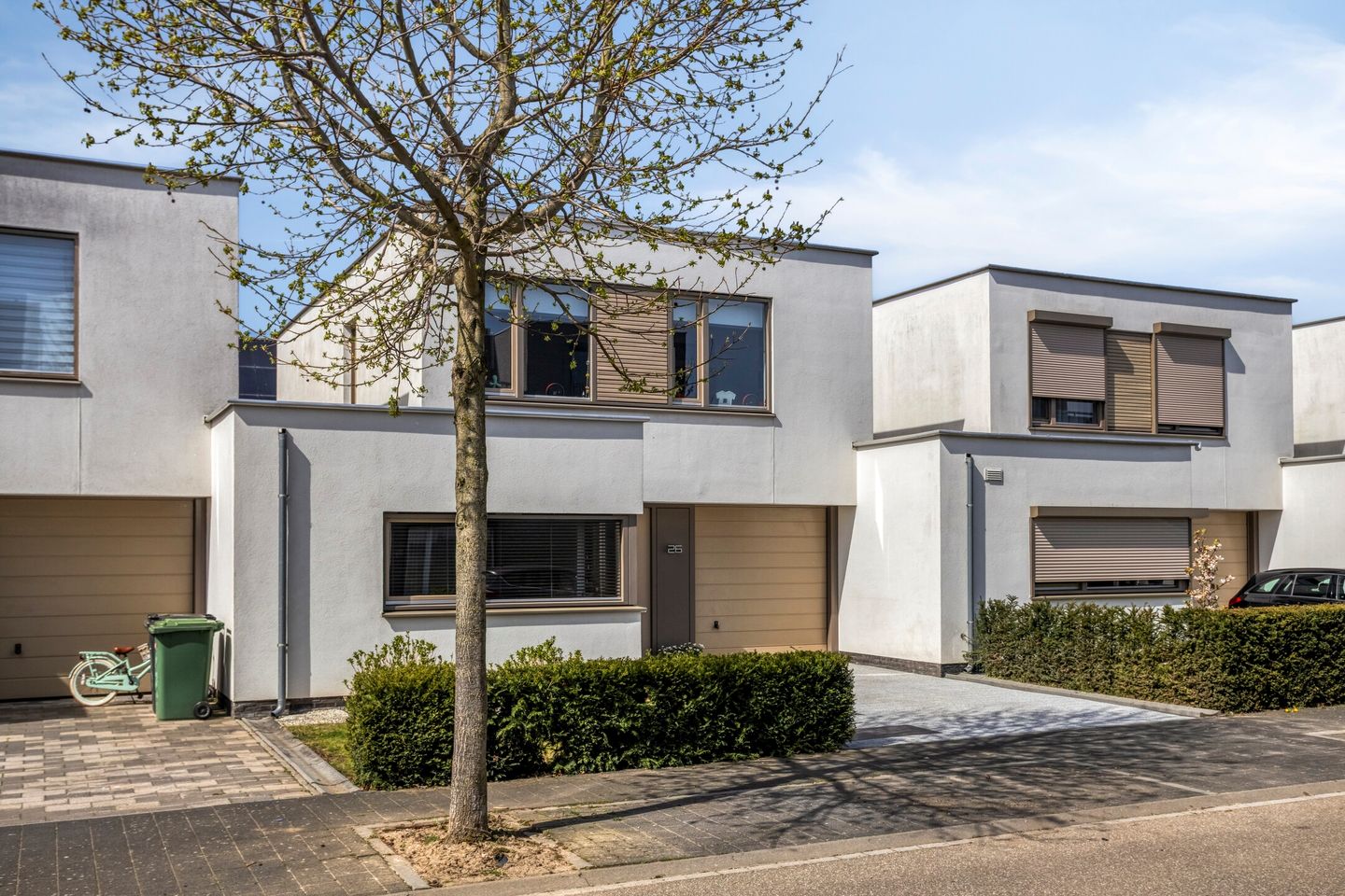 Foto 34 van Pinksterbloem 26