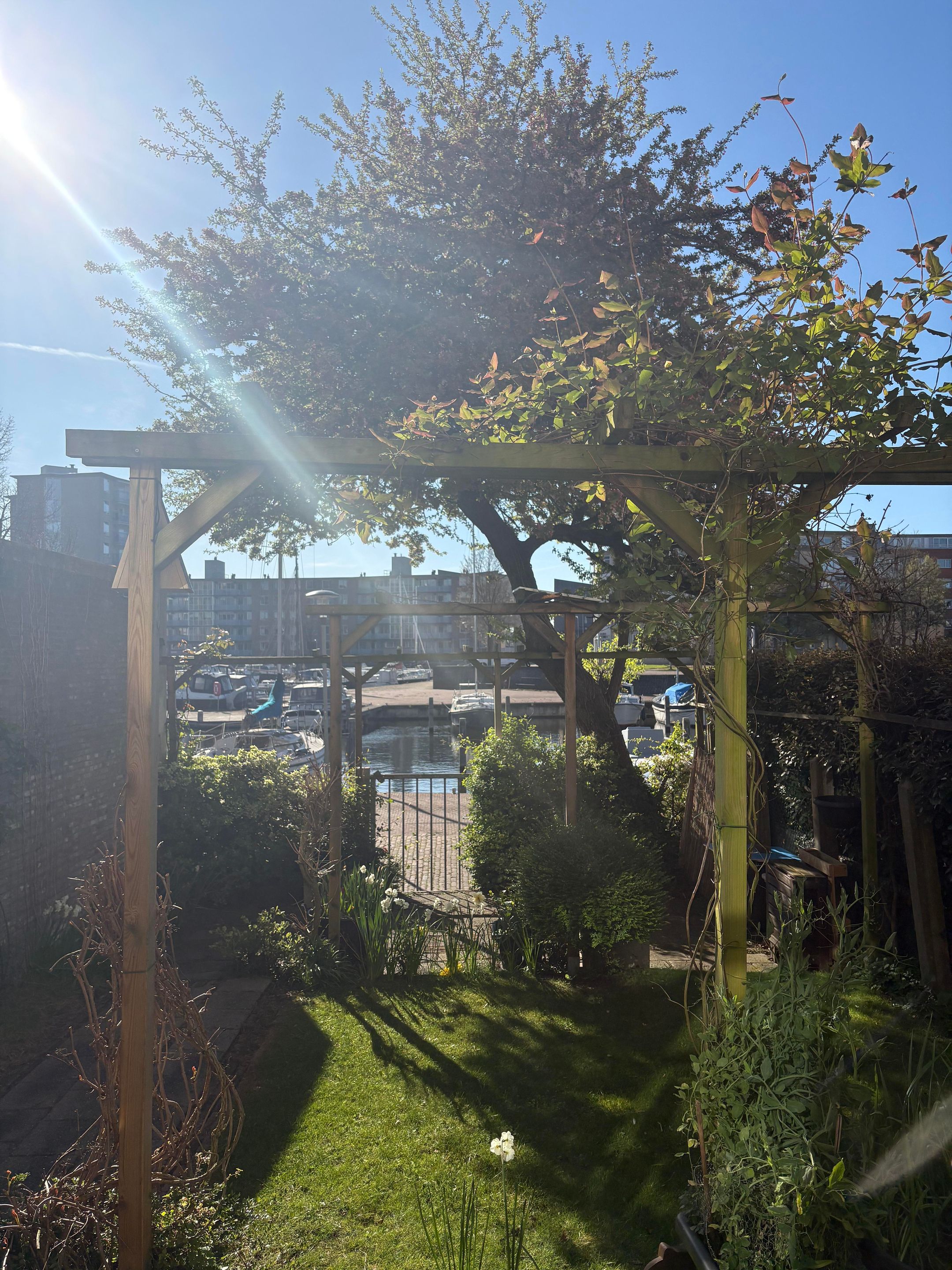 Foto 39 van Kinderdijk 78