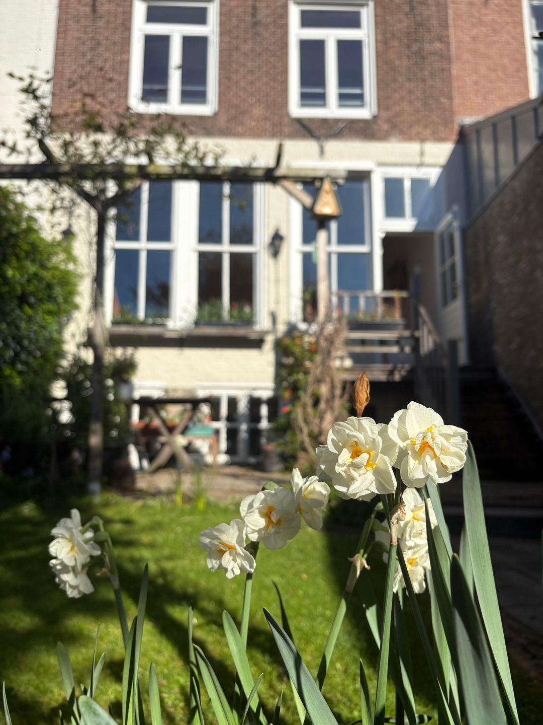 Foto 38 van Kinderdijk 78