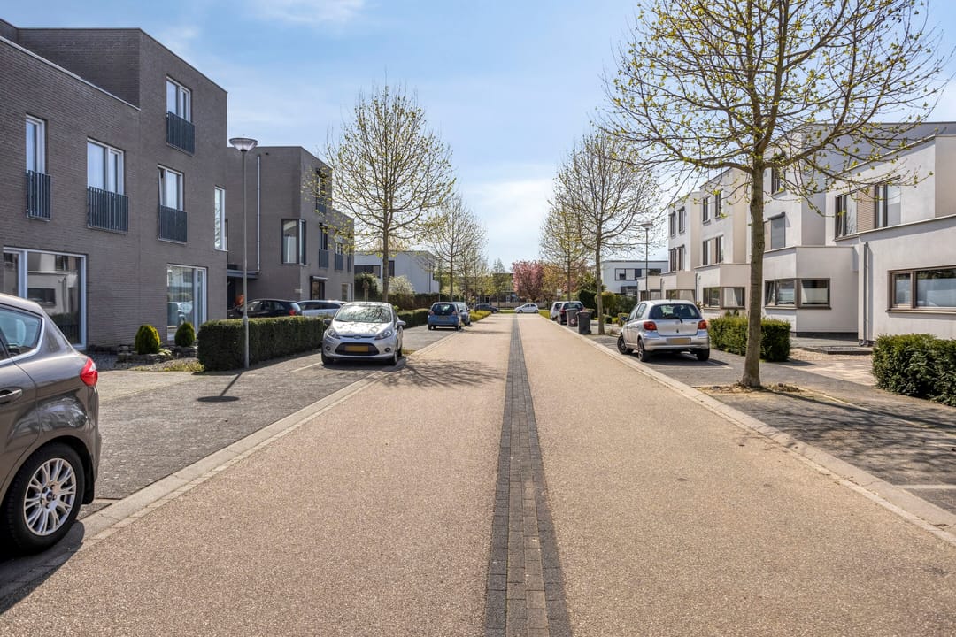 Foto 37 van Pinksterbloem 26