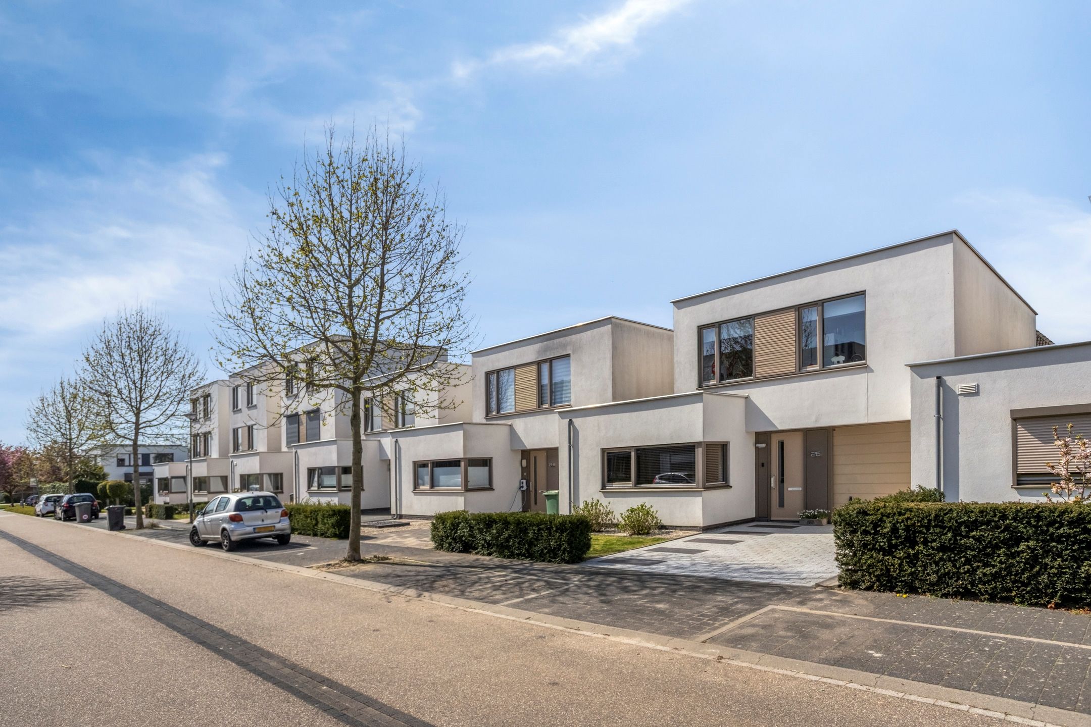 Foto 36 van Pinksterbloem 26