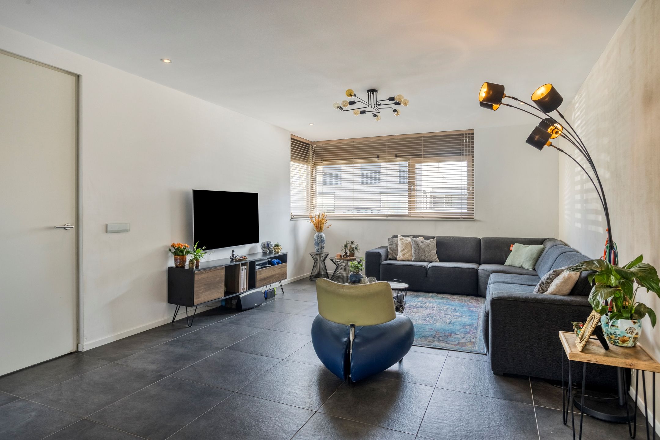 Foto 6 van Pinksterbloem 26