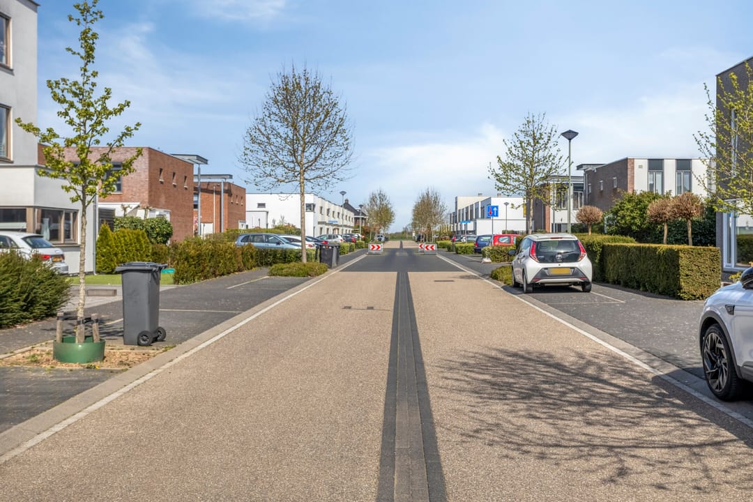 Foto 38 van Pinksterbloem 26