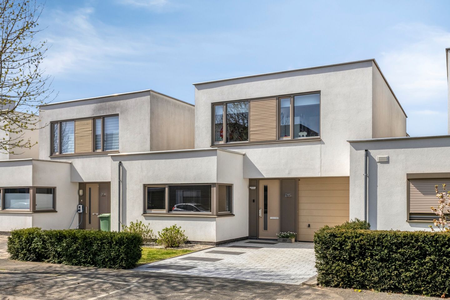 Foto 35 van Pinksterbloem 26