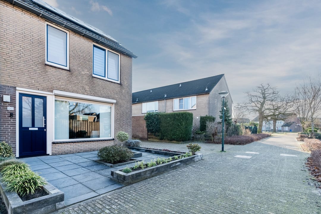 Foto 7 van Meeuwdonk 50