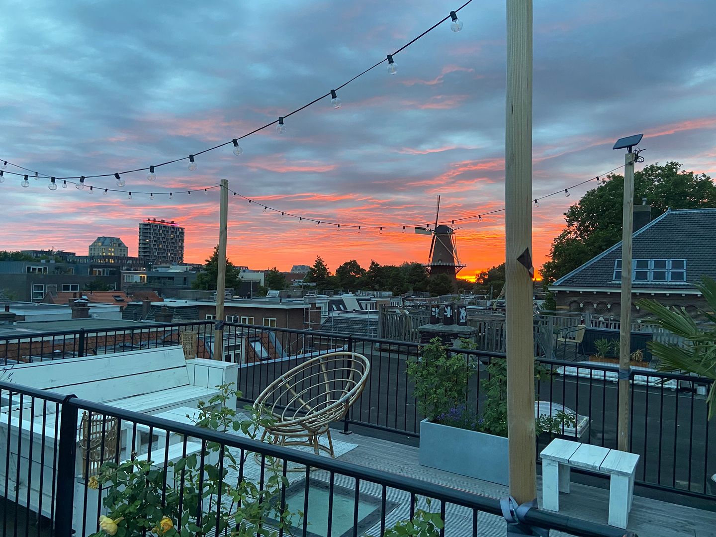 Foto 35 van Lijsterstraat 81-A