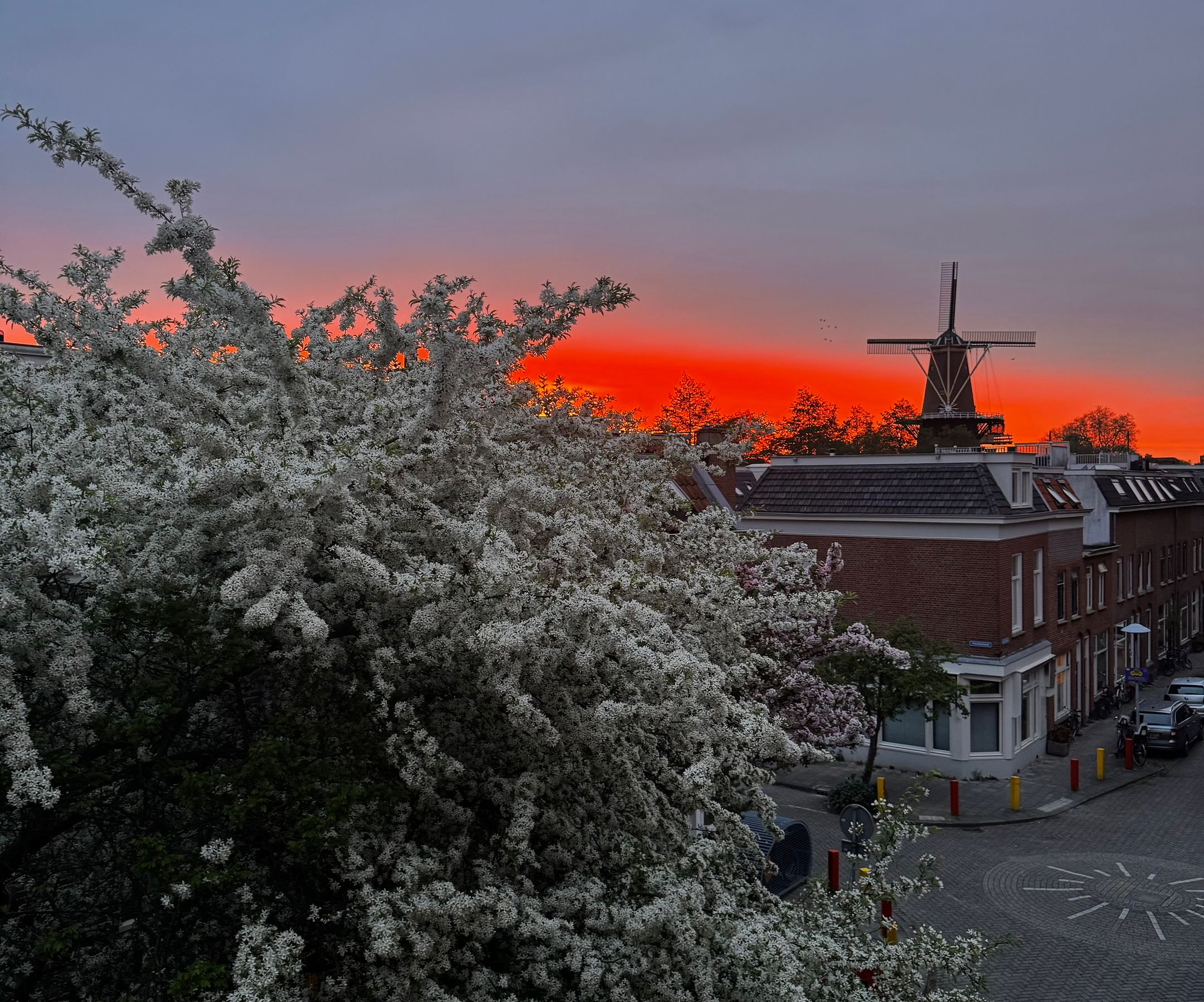 Foto 33 van Lijsterstraat 81-A