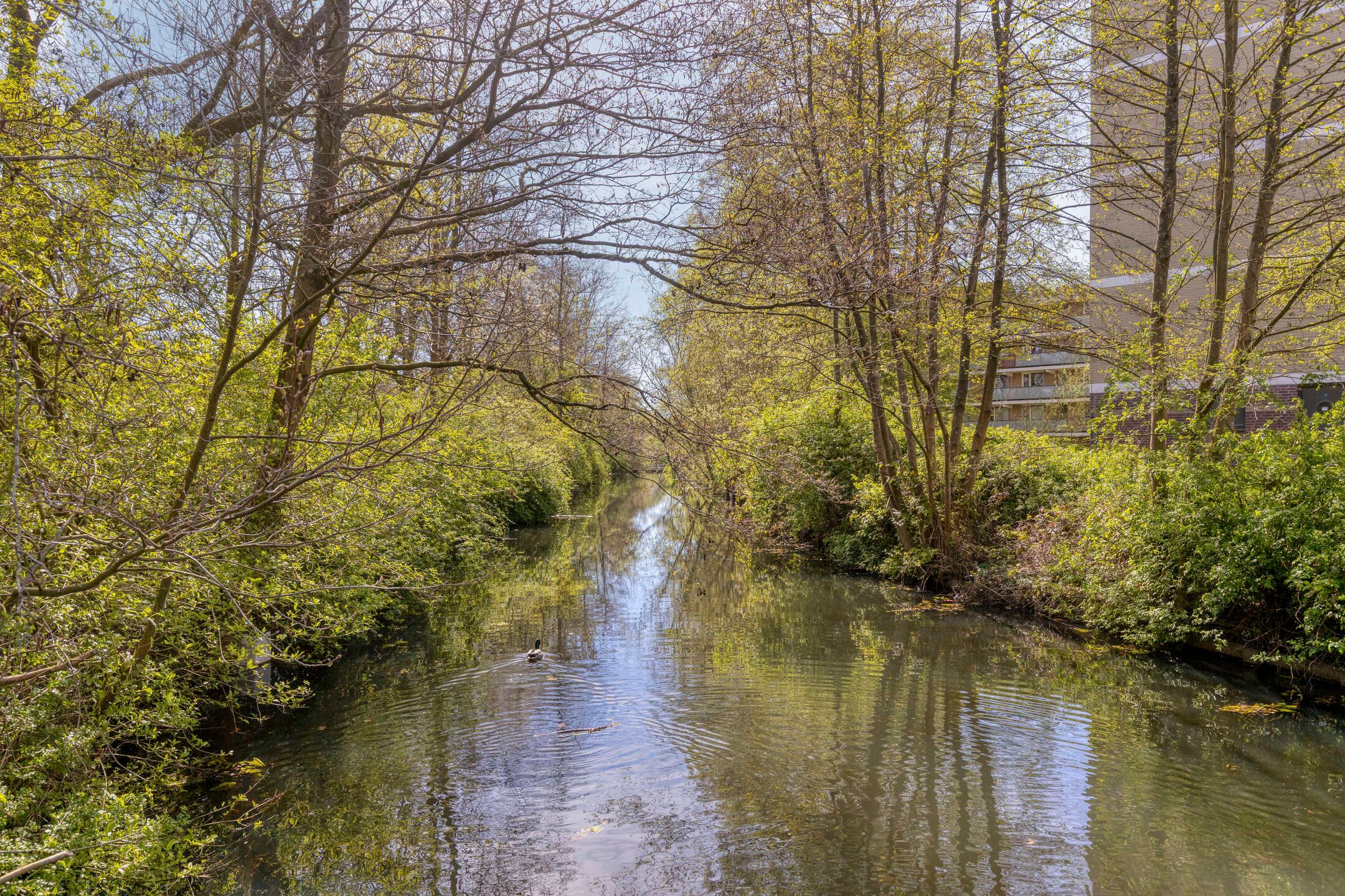 Photo 24 of Trekvogelweg 60-L