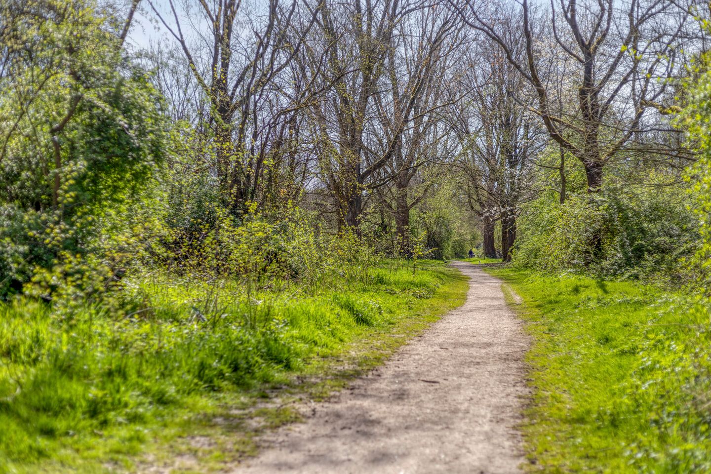 Photo 25 of Trekvogelweg 60-L