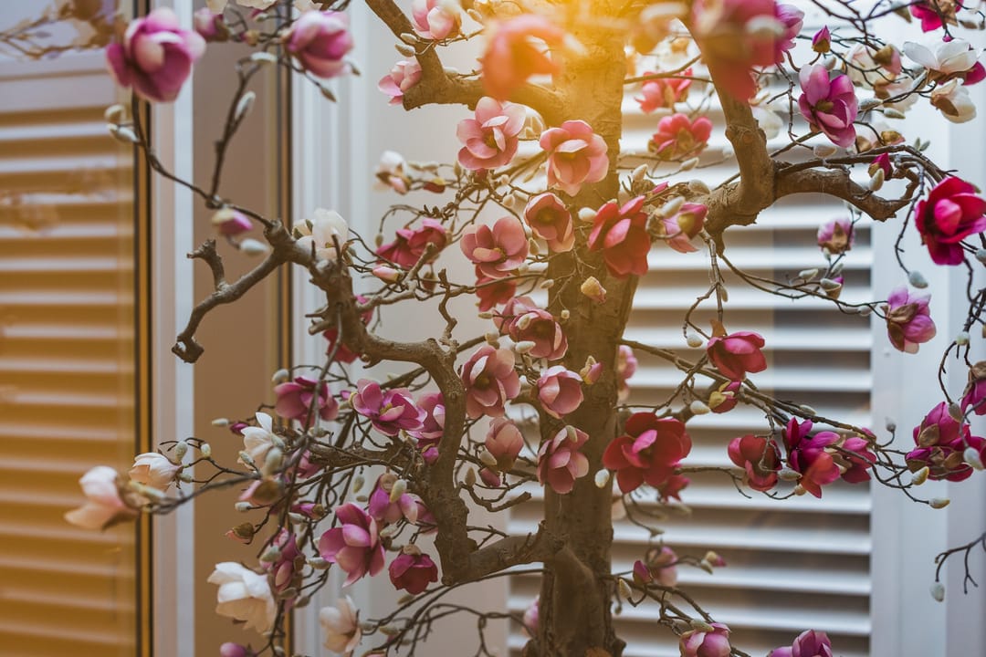 Photo 28 of Hugo de Grootstraat 1-A