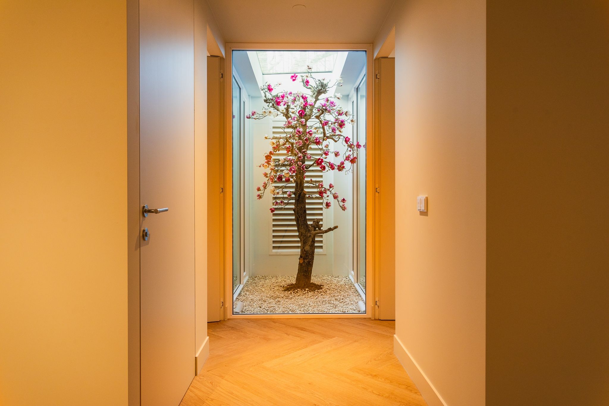 Photo 27 of Hugo de Grootstraat 1-A