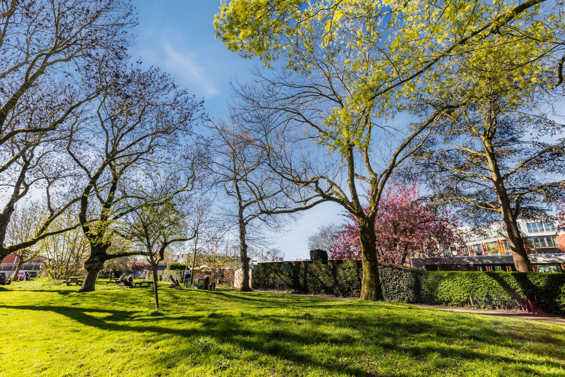 Foto 39 van Balijelaan 79