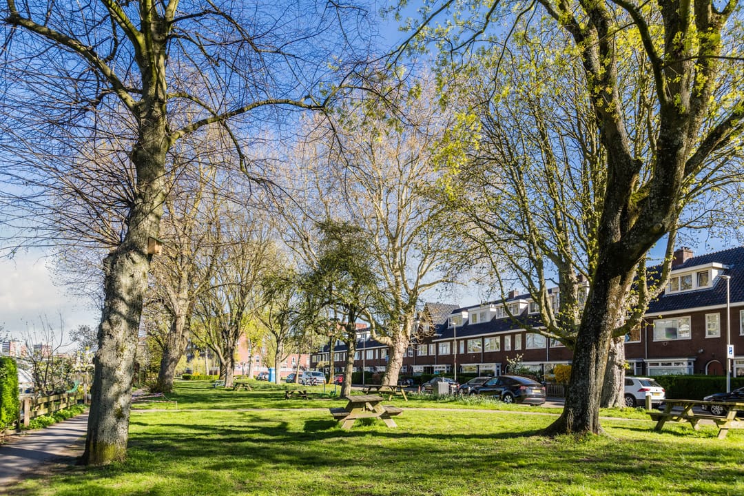 Foto 38 van Balijelaan 79