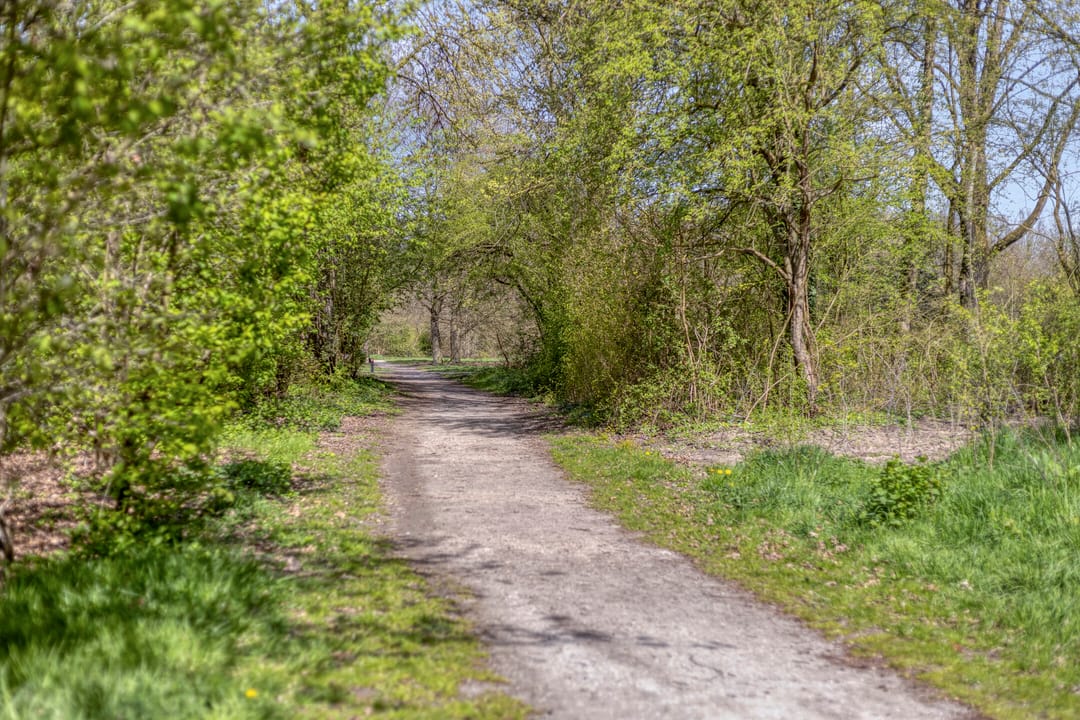 Photo 26 of Trekvogelweg 60-L