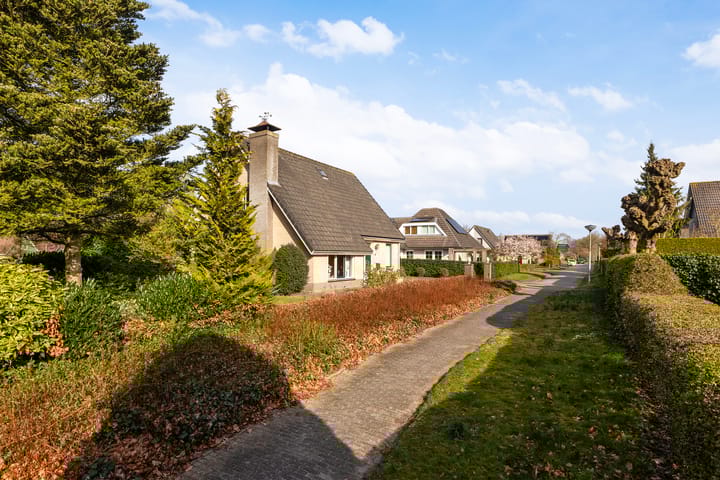 Foto 3 van Blomspôle 6