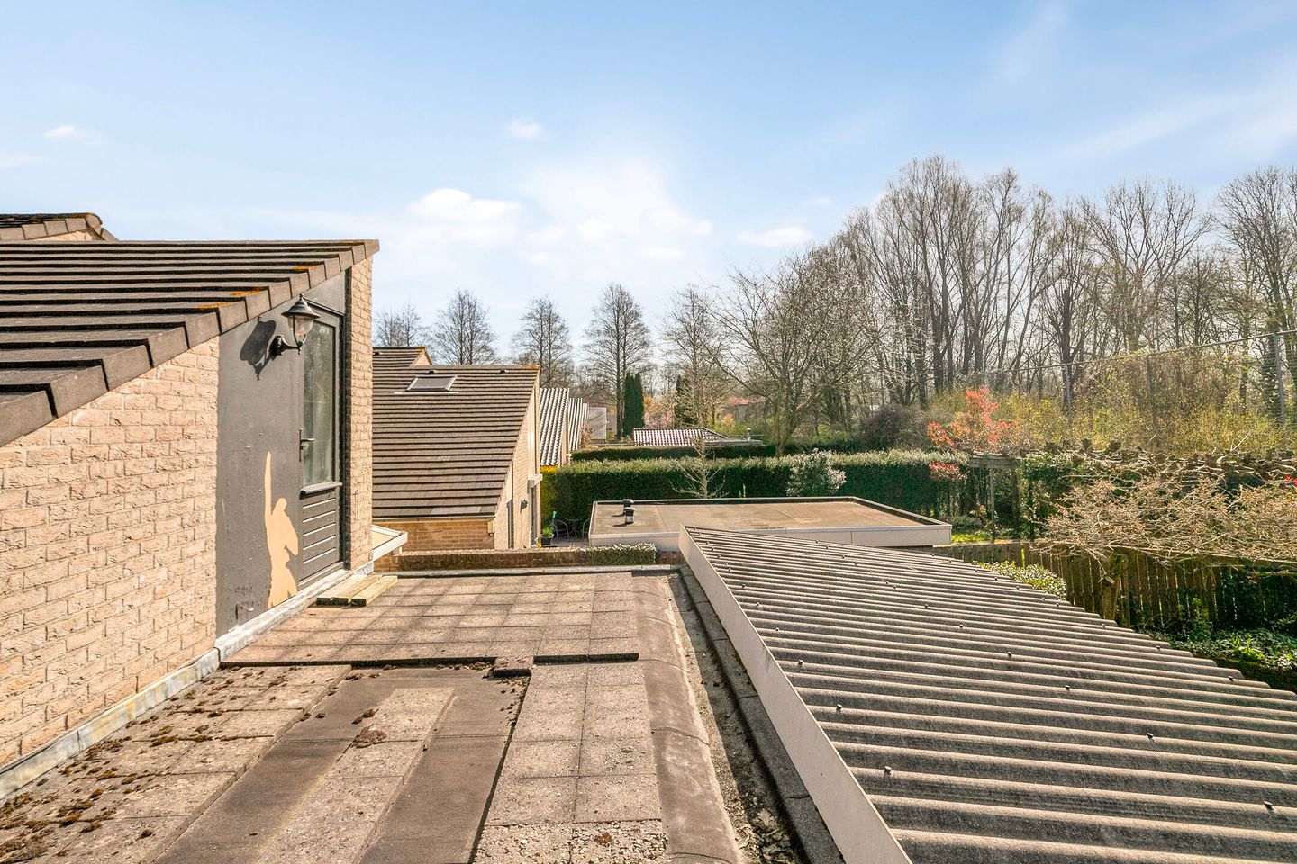 Foto 35 van Het Noorderlicht 6