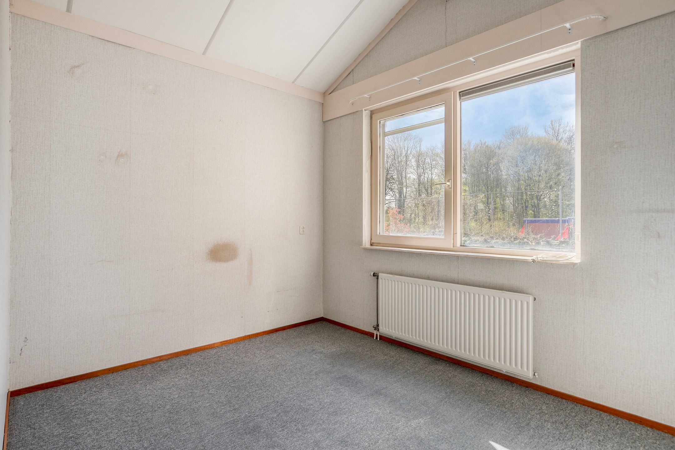 Foto 36 van Het Noorderlicht 6