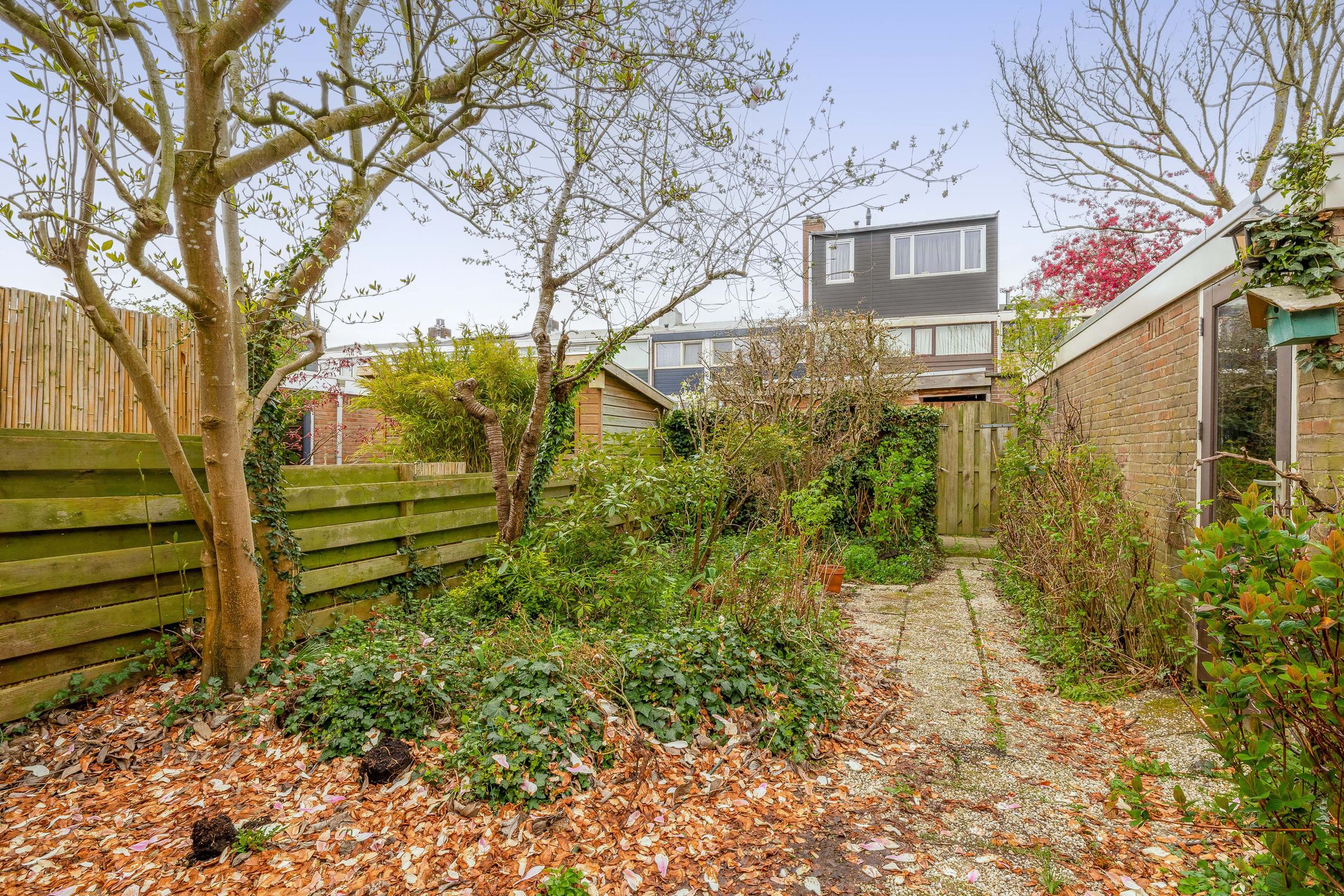 Foto 33 van Frans Halsstraat 31