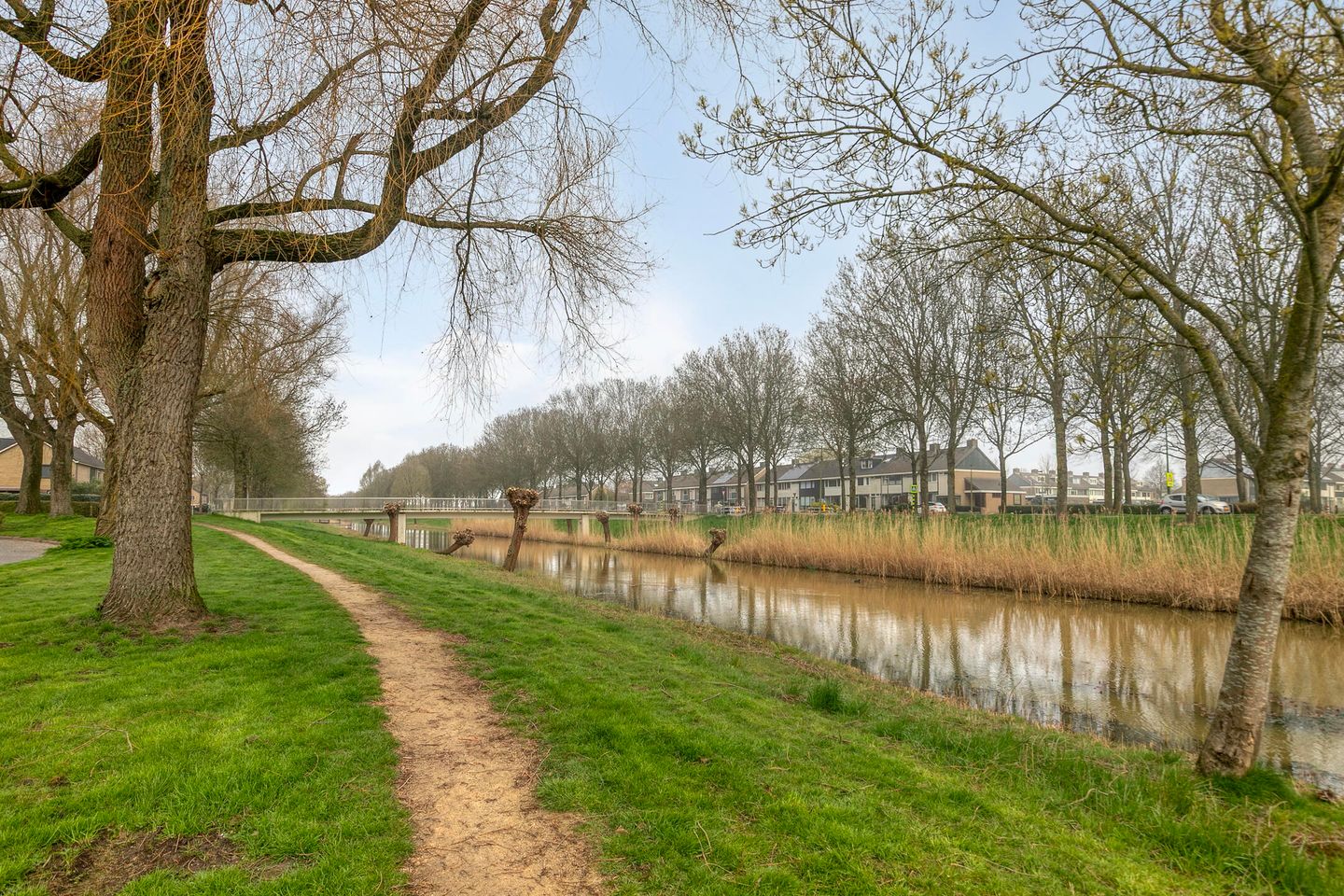 Foto 65 van Het Noorderlicht 6