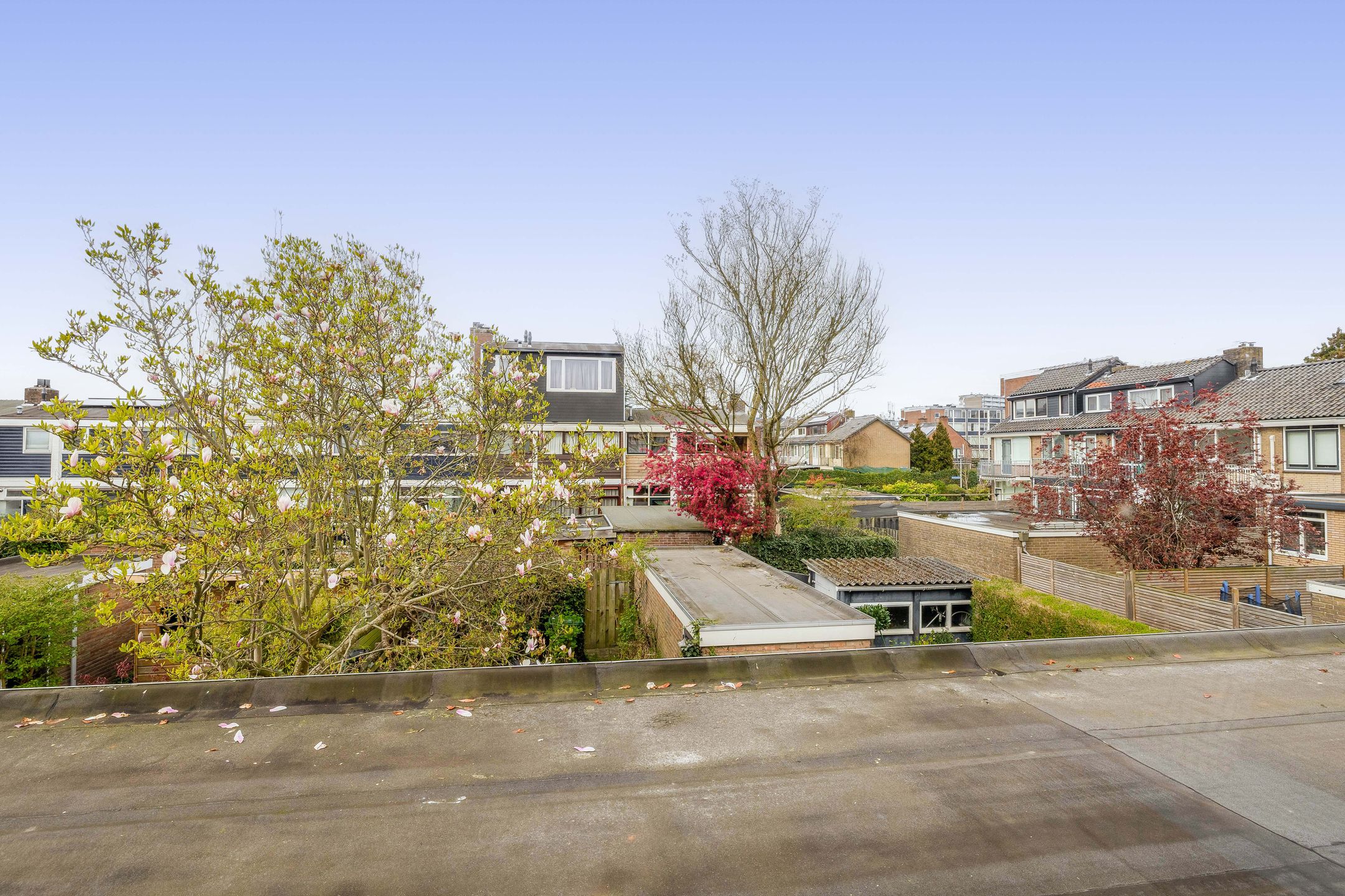 Foto 36 van Frans Halsstraat 31