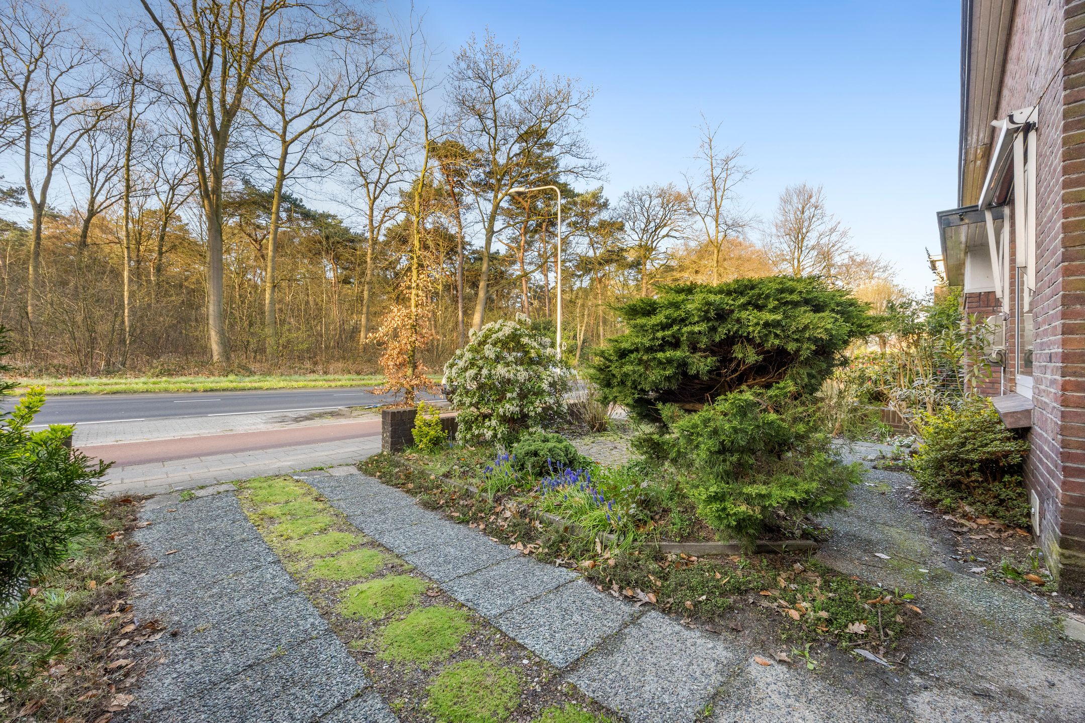 Foto 30 van Scheidingsweg 6