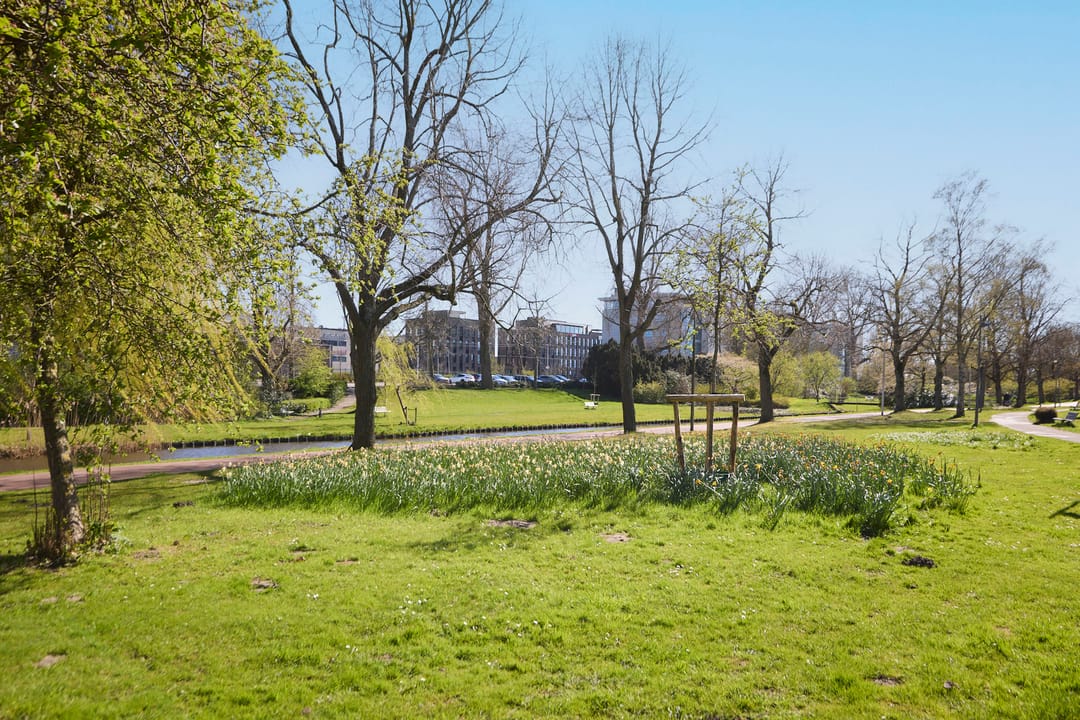 Foto 53 van De Burcht 5