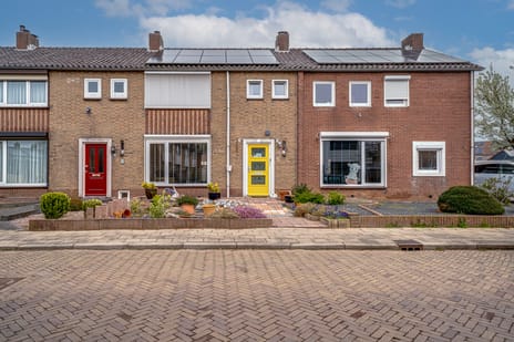 Graaf Reinaldstraat thumbnail