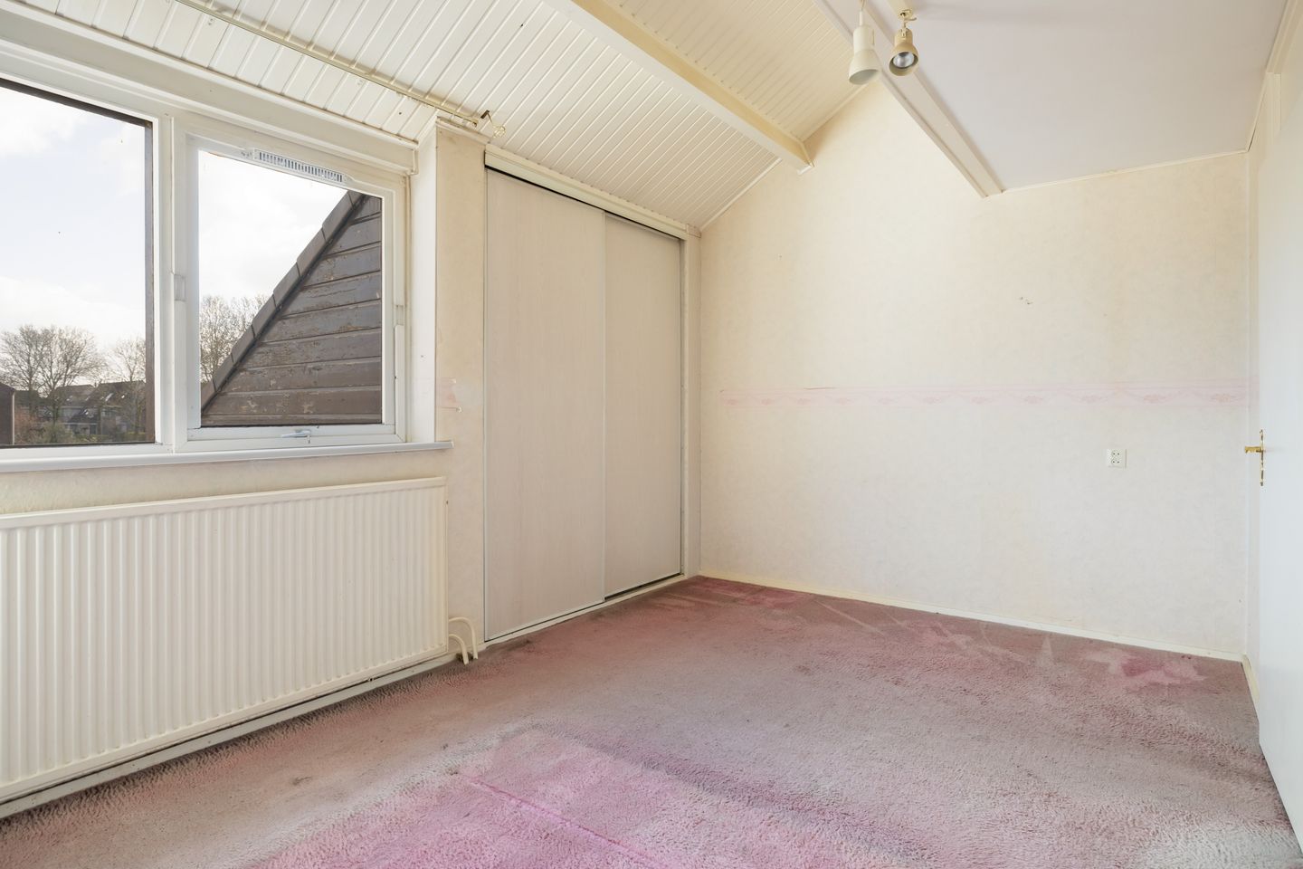 Foto 25 van Watersnip 10