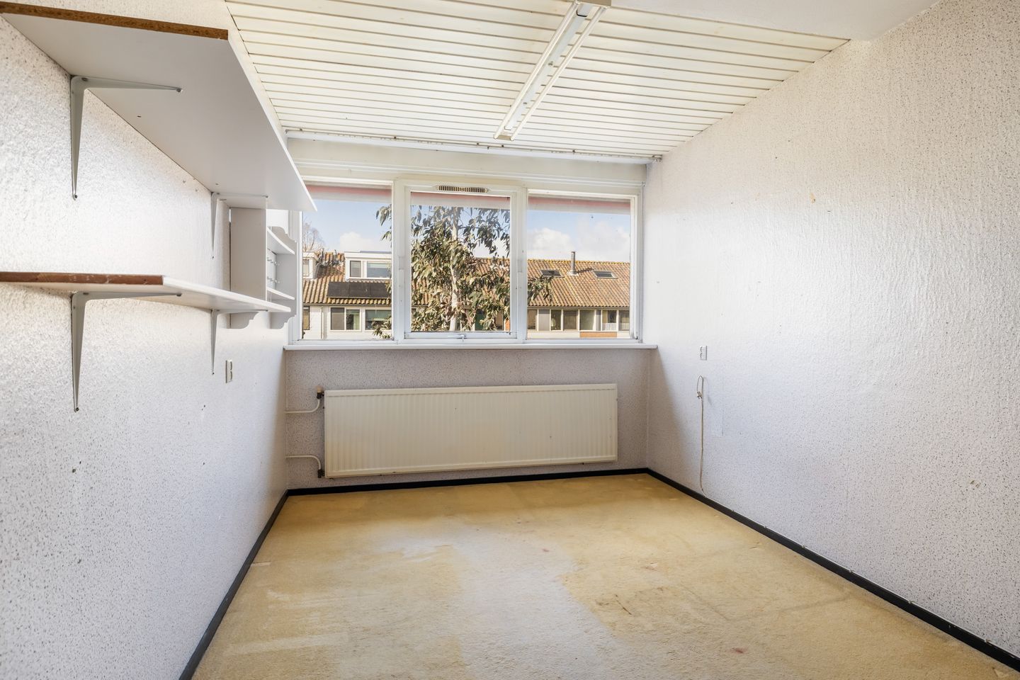 Foto 19 van Watersnip 10