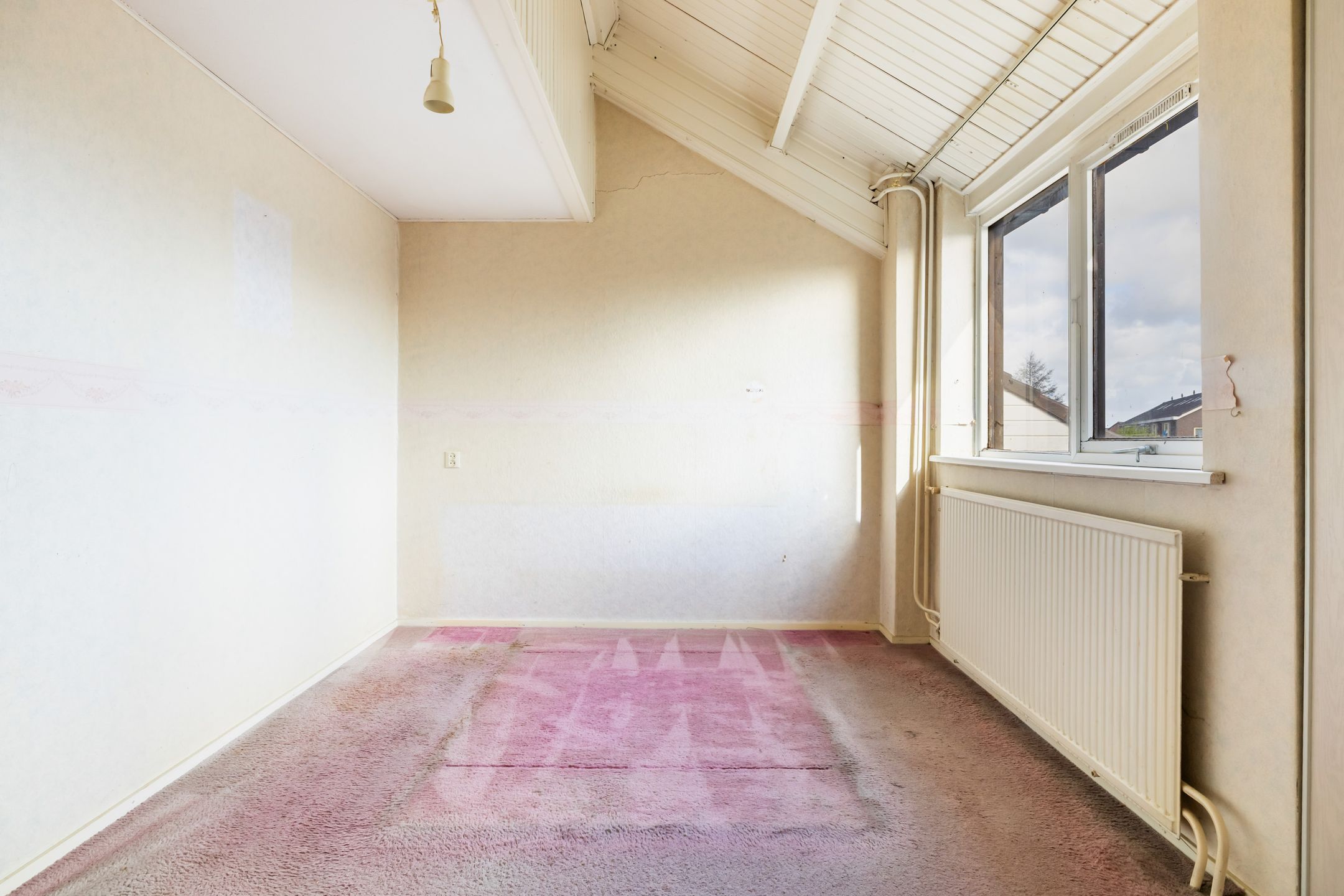 Foto 24 van Watersnip 10