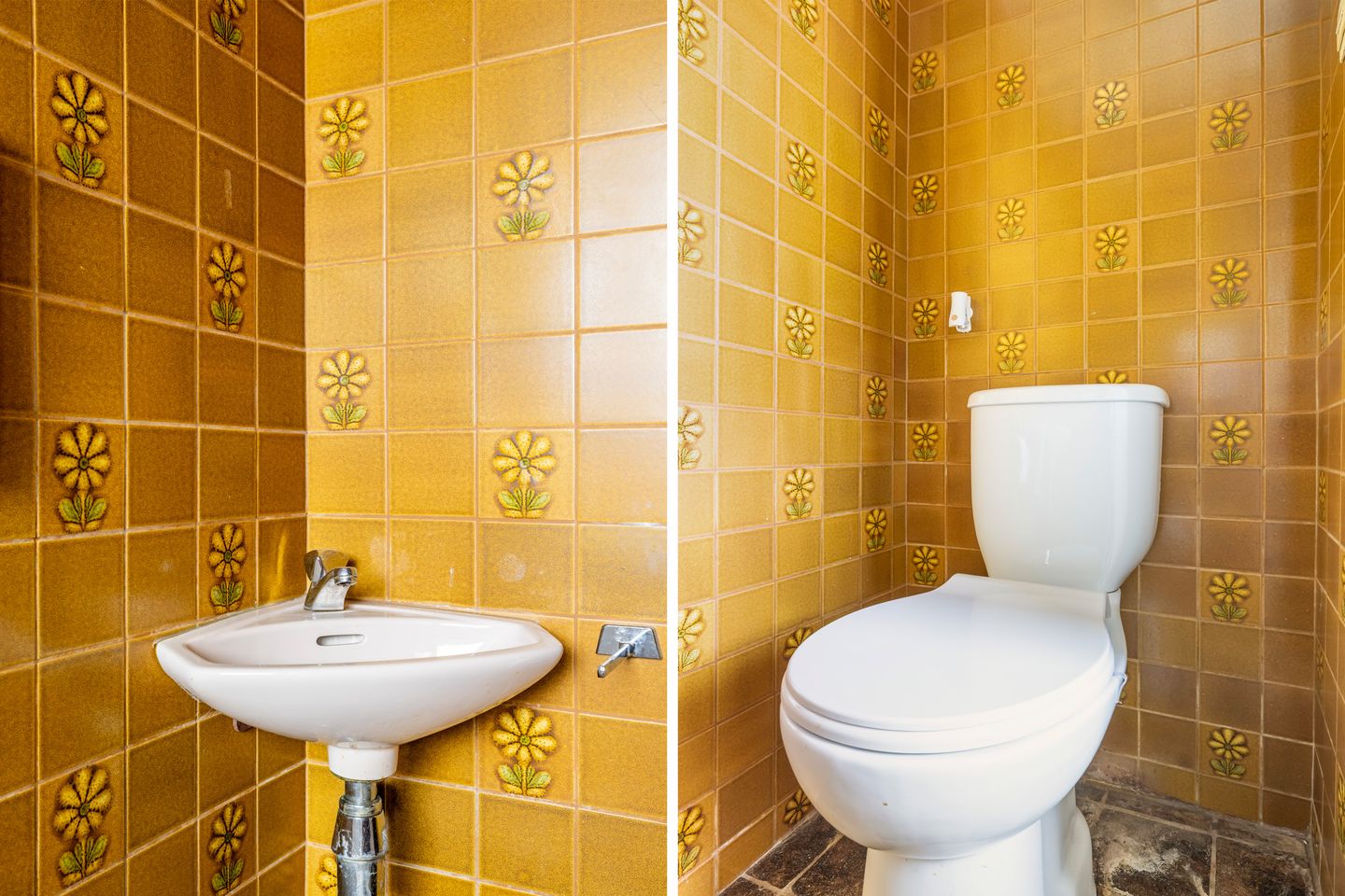 Foto 4 van Watersnip 10