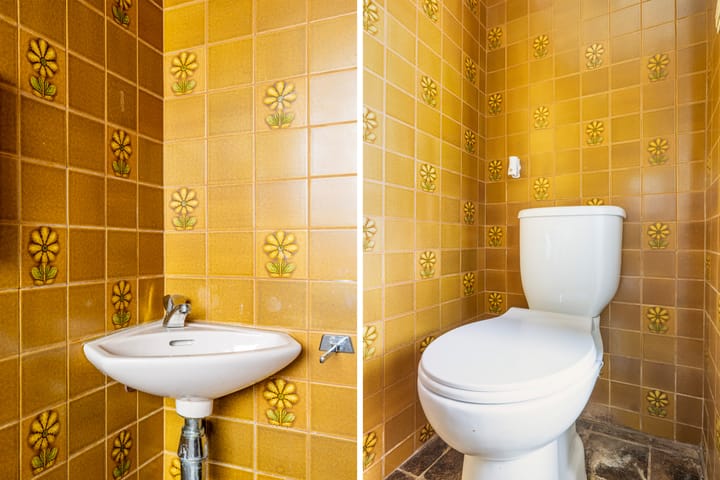 Foto 4 van Watersnip 10