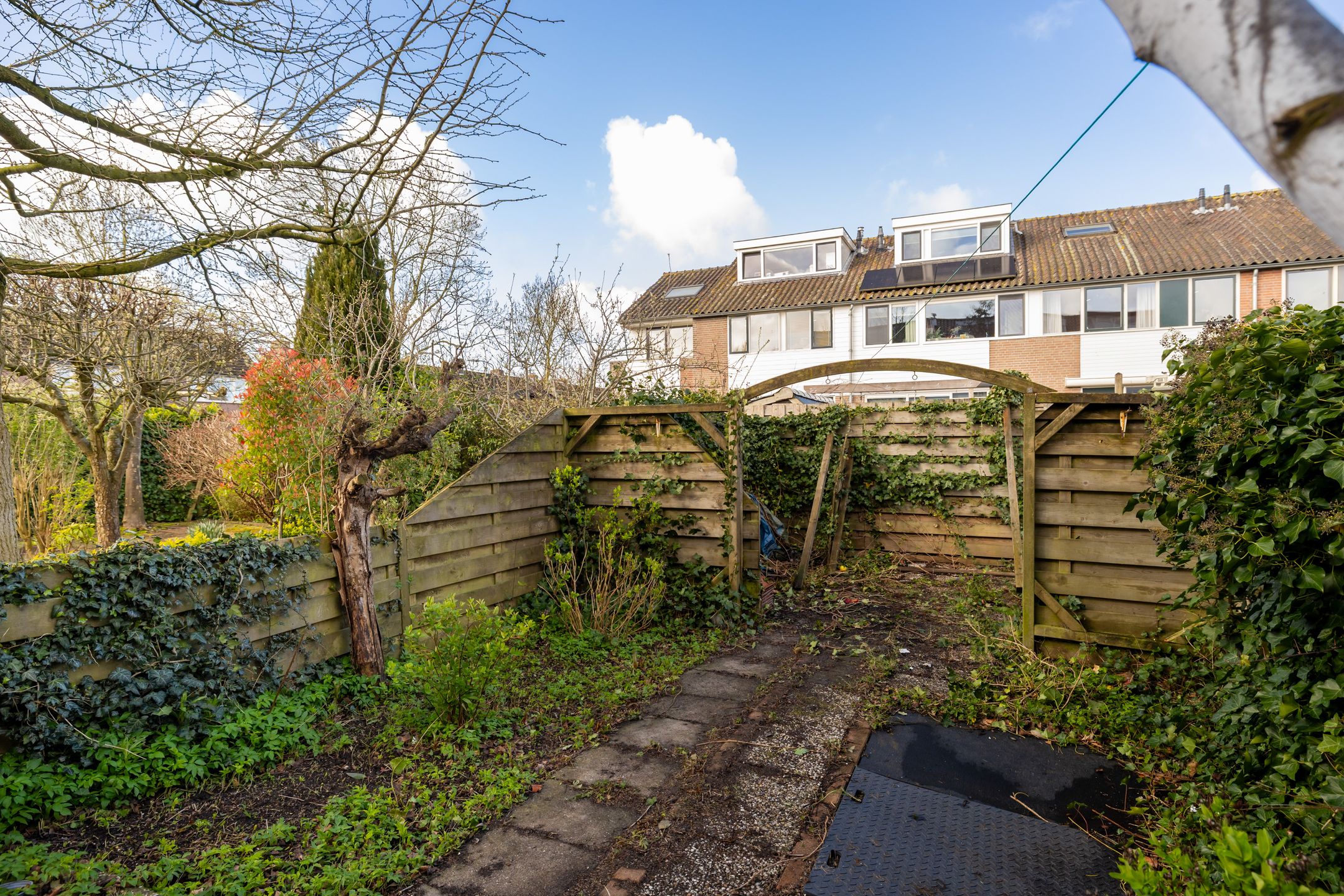 Foto 15 van Watersnip 10