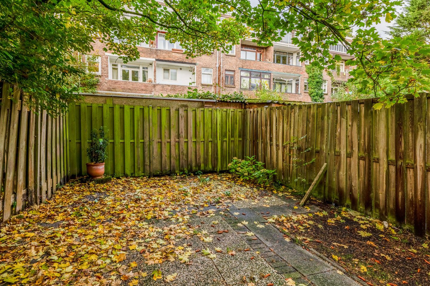 Foto 29 van Insulindestraat 67-B