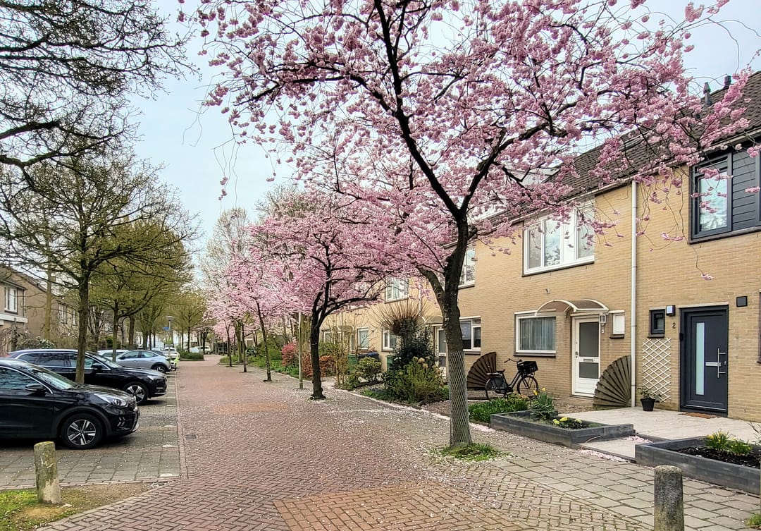 Foto 2 van Midscheeps 4