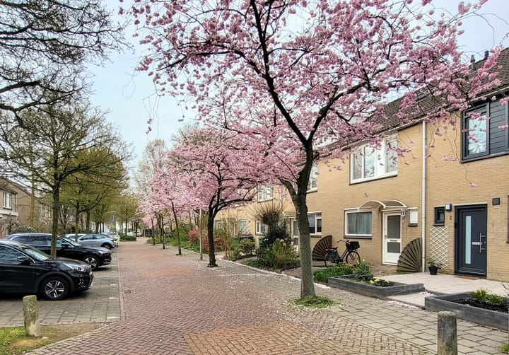 Photo 2 of Midscheeps 4