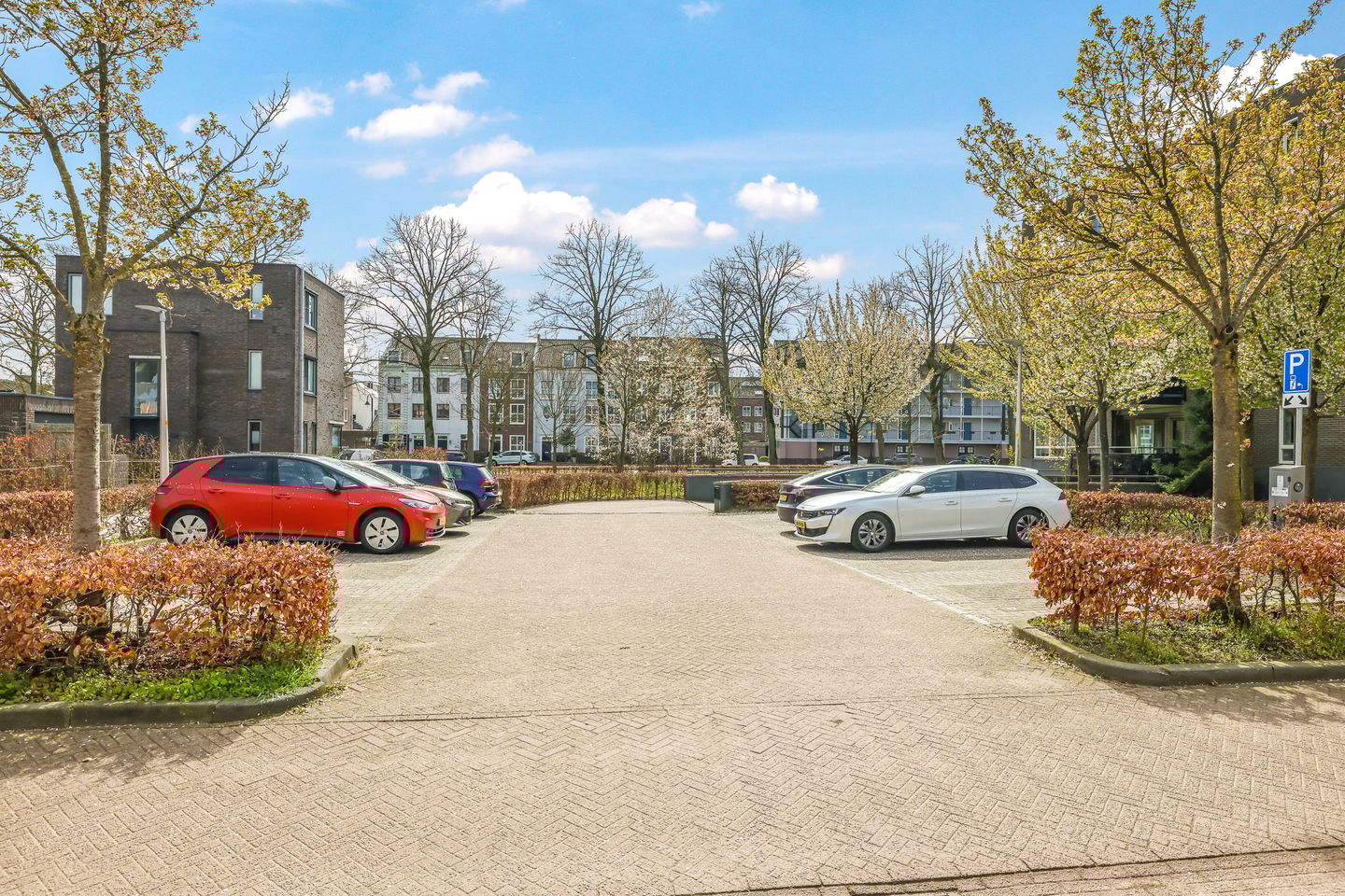 Foto 65 van Gruit 22