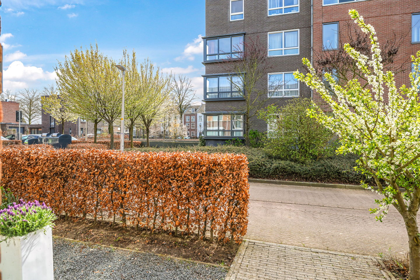 Foto 64 van Gruit 22