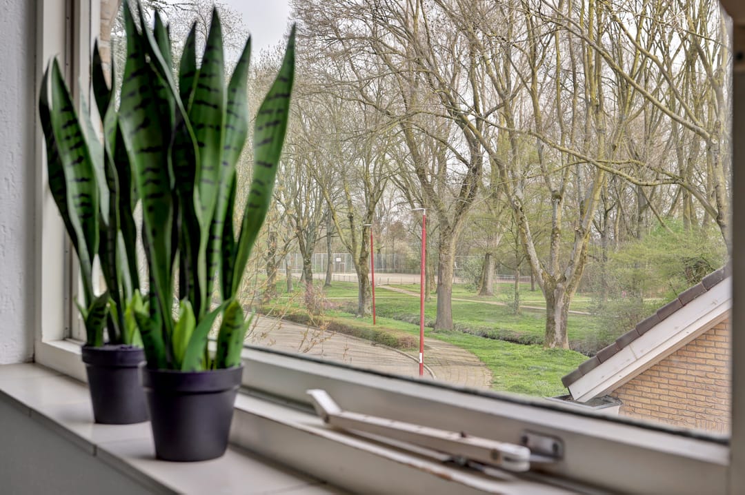 Foto 47 van Prinsessenweg 68