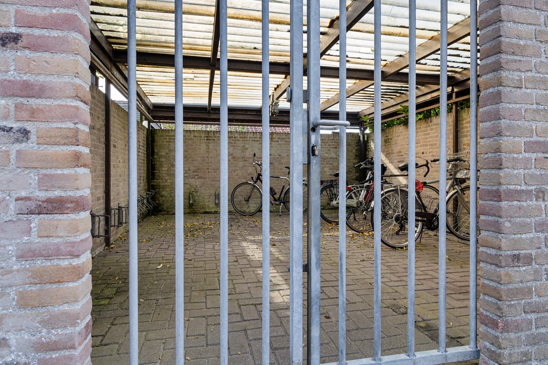 Foto 38 van de Nederlanden 7-D