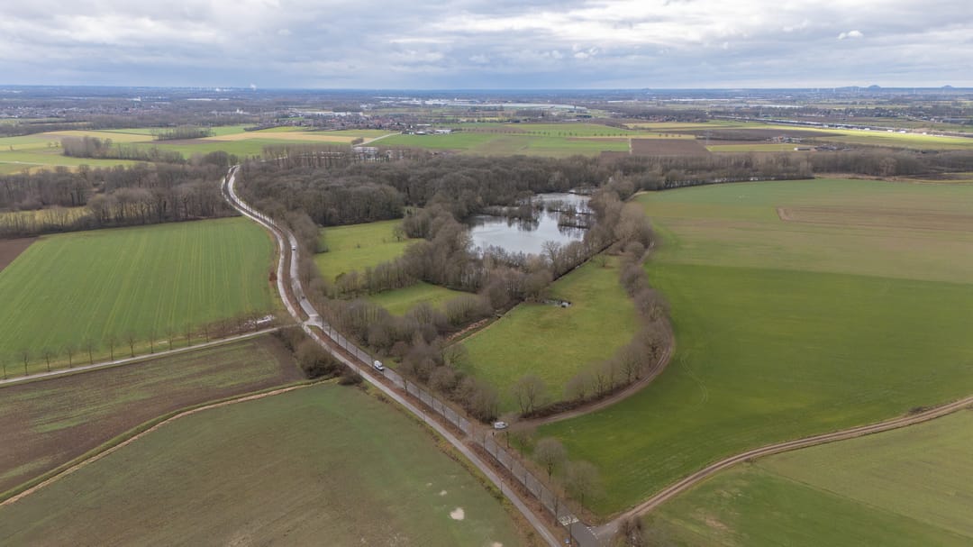 Foto 52 van Wijnstraat 64