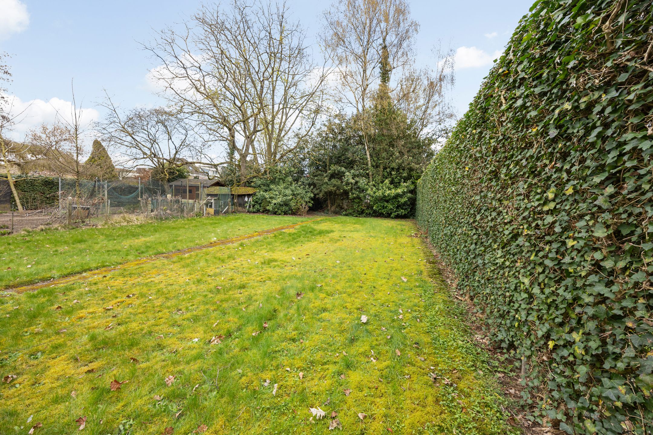 Foto 39 van Doktersweg 37