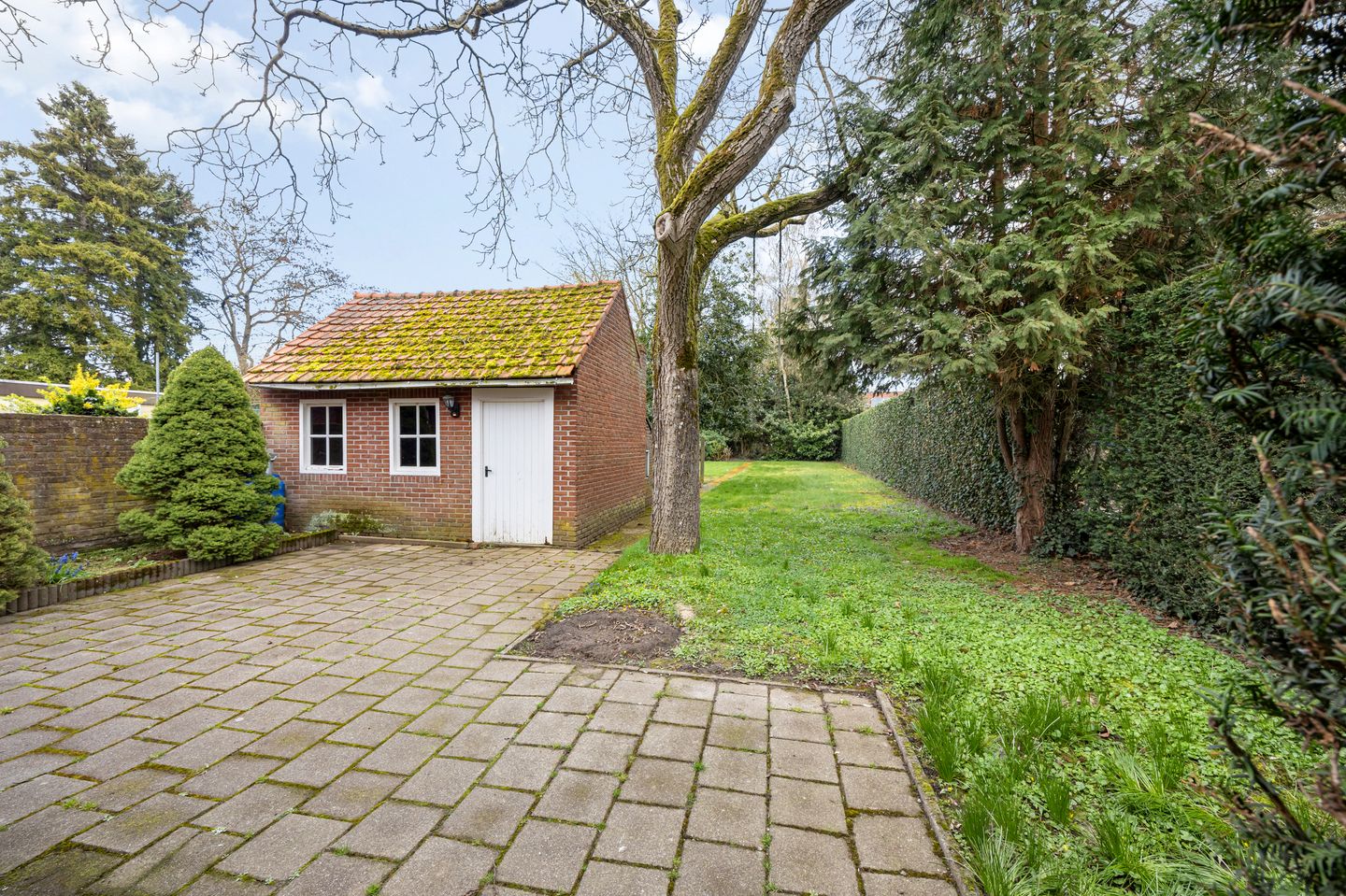 Foto 4 van Doktersweg 37